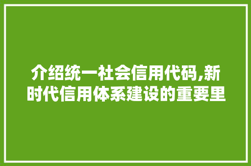 介绍统一社会信用代码,新时代信用体系建设的重要里程碑