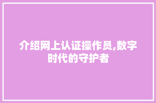 介绍网上认证操作员,数字时代的守护者