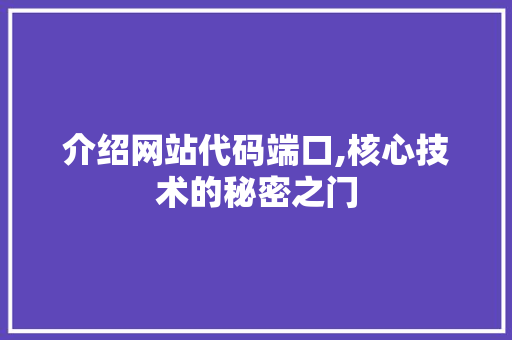 介绍网站代码端口,核心技术的秘密之门