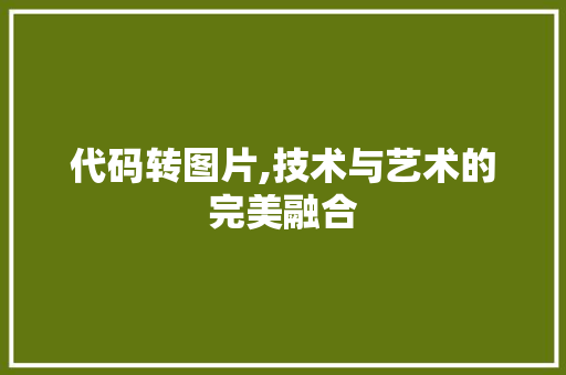 代码转图片,技术与艺术的完美融合