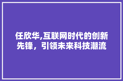 任欣华,互联网时代的创新先锋，引领未来科技潮流