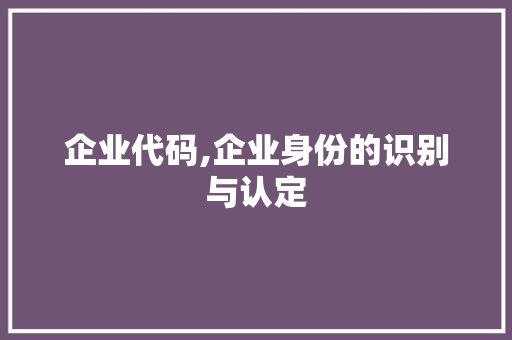 企业代码,企业身份的识别与认定