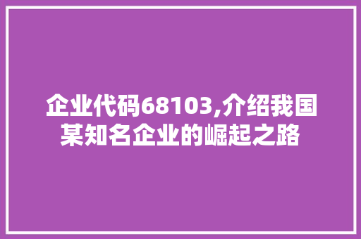 企业代码68103,介绍我国某知名企业的崛起之路