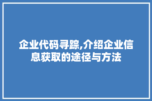 企业代码寻踪,介绍企业信息获取的途径与方法