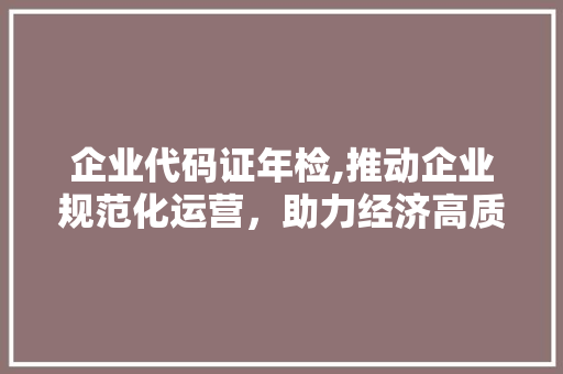 企业代码证年检,推动企业规范化运营，助力经济高质量发展