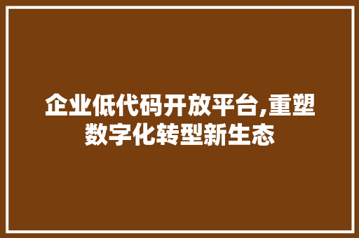 企业低代码开放平台,重塑数字化转型新生态