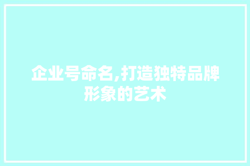 企业号命名,打造独特品牌形象的艺术