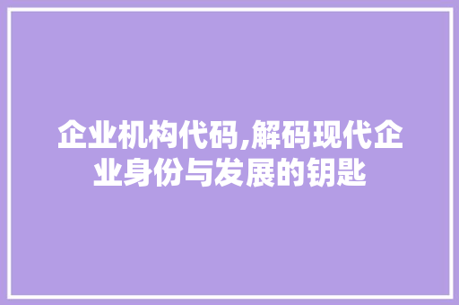 企业机构代码,解码现代企业身份与发展的钥匙