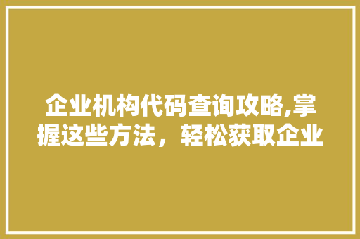 企业机构代码查询攻略,掌握这些方法，轻松获取企业信息