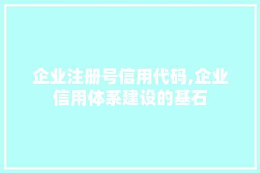 企业注册号信用代码,企业信用体系建设的基石