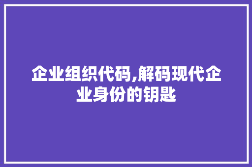 企业组织代码,解码现代企业身份的钥匙