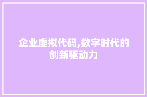 企业虚拟代码,数字时代的创新驱动力