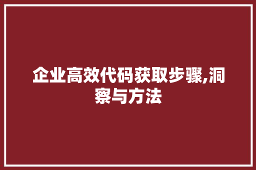 企业高效代码获取步骤,洞察与方法 JavaScript