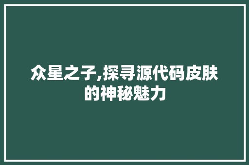 众星之子,探寻源代码皮肤的神秘魅力