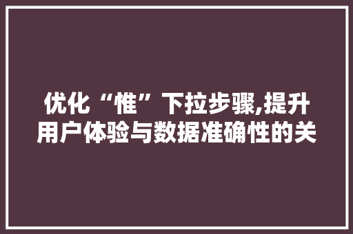 优化“惟”下拉步骤,提升用户体验与数据准确性的关键之路