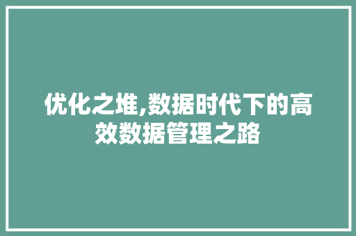 优化之堆,数据时代下的高效数据管理之路