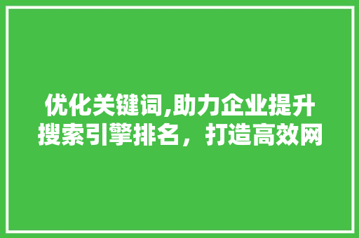 优化关键词,助力企业提升搜索引擎排名，打造高效网络营销步骤