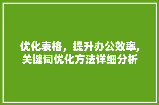 优化表格，提升办公效率,关键词优化方法详细分析