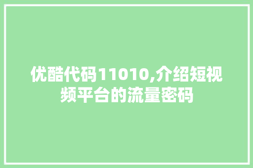 优酷代码11010,介绍短视频平台的流量密码