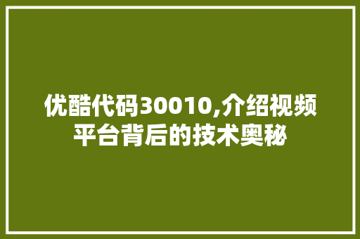 优酷代码30010,介绍视频平台背后的技术奥秘