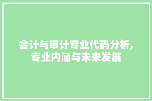 会计与审计专业代码分析,专业内涵与未来发展