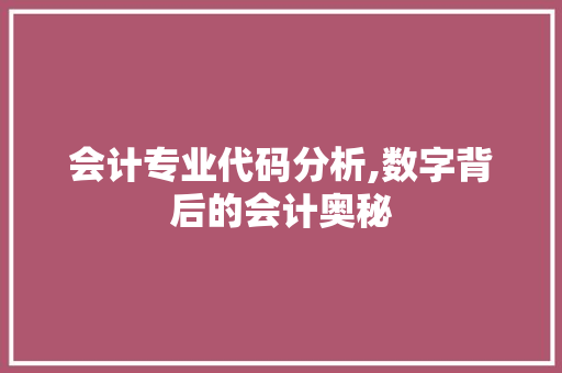 会计专业代码分析,数字背后的会计奥秘