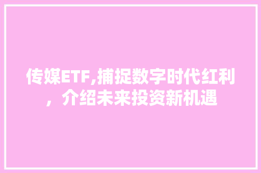 传媒ETF,捕捉数字时代红利，介绍未来投资新机遇