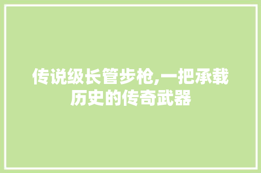 传说级长管步枪,一把承载历史的传奇武器