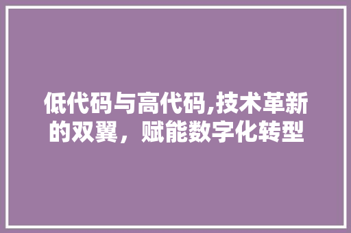 低代码与高代码,技术革新的双翼，赋能数字化转型