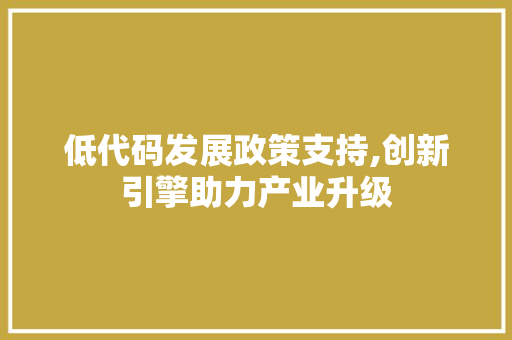 低代码发展政策支持,创新引擎助力产业升级