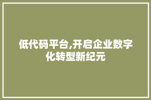 低代码平台,开启企业数字化转型新纪元