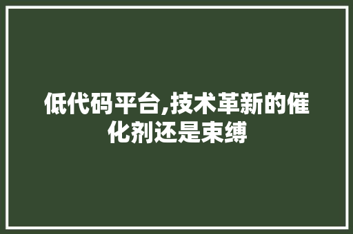 低代码平台,技术革新的催化剂还是束缚