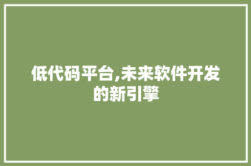 低代码平台,未来软件开发的新引擎