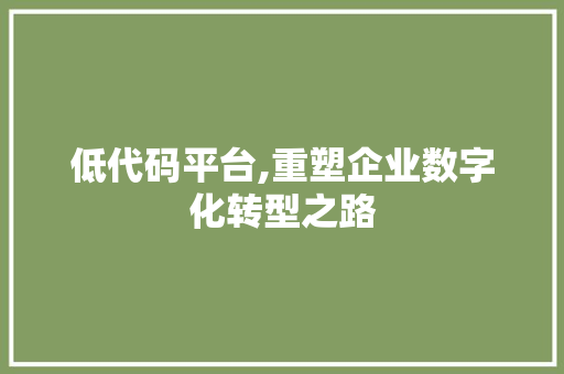 低代码平台,重塑企业数字化转型之路