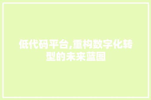 低代码平台,重构数字化转型的未来蓝图