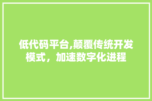 低代码平台,颠覆传统开发模式，加速数字化进程