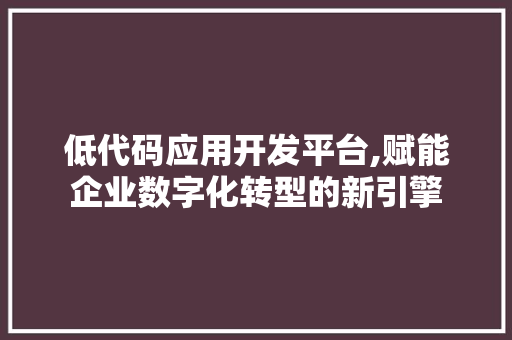 低代码应用开发平台,赋能企业数字化转型的新引擎