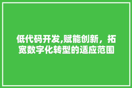 低代码开发,赋能创新，拓宽数字化转型的适应范围