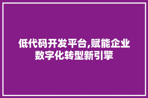 低代码开发平台,赋能企业数字化转型新引擎