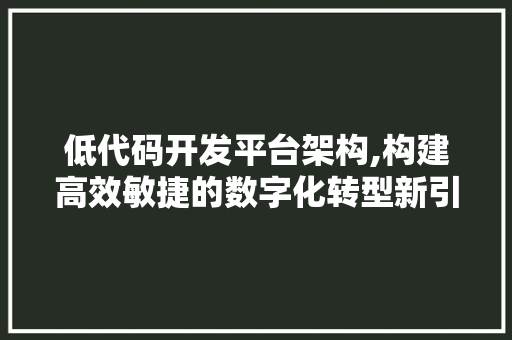 低代码开发平台架构,构建高效敏捷的数字化转型新引擎