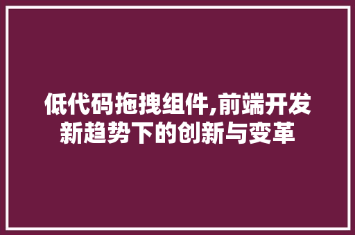 低代码拖拽组件,前端开发新趋势下的创新与变革