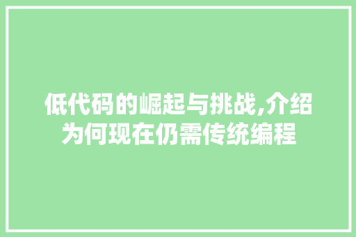 低代码的崛起与挑战,介绍为何现在仍需传统编程