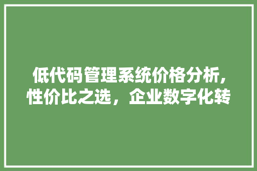 低代码管理系统价格分析,性价比之选，企业数字化转型新伙伴