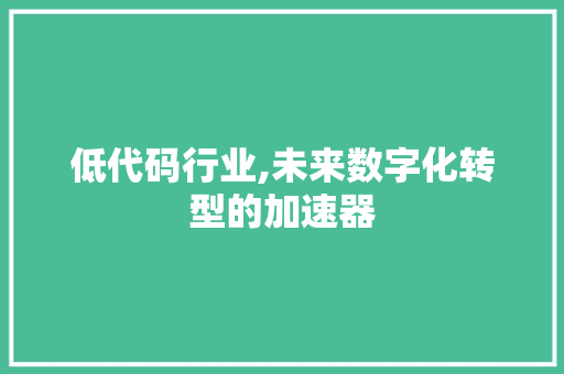 低代码行业,未来数字化转型的加速器