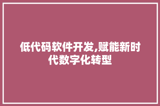 低代码软件开发,赋能新时代数字化转型