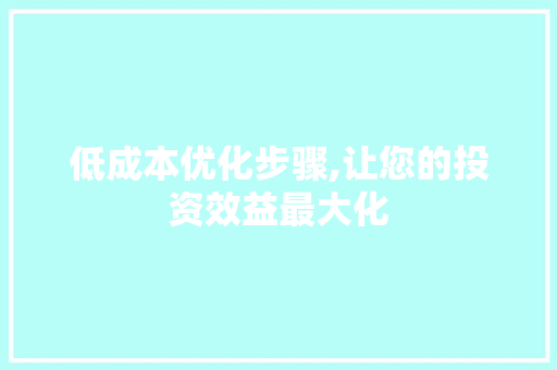 低成本优化步骤,让您的投资效益最大化