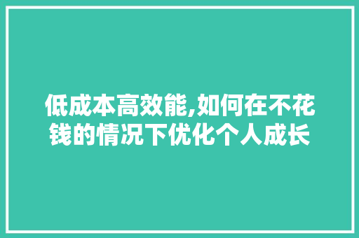 低成本高效能,如何在不花钱的情况下优化个人成长