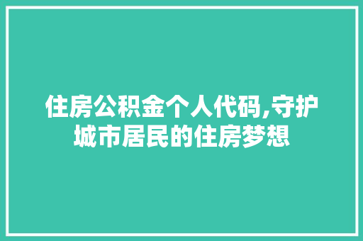 住房公积金个人代码,守护城市居民的住房梦想