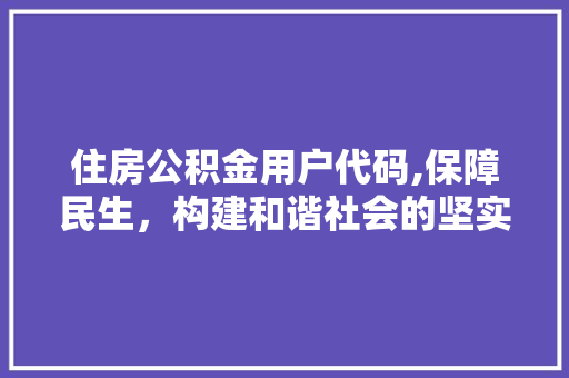 住房公积金用户代码,保障民生，构建和谐社会的坚实基石