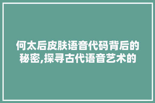 何太后皮肤语音代码背后的秘密,探寻古代语音艺术的魅力